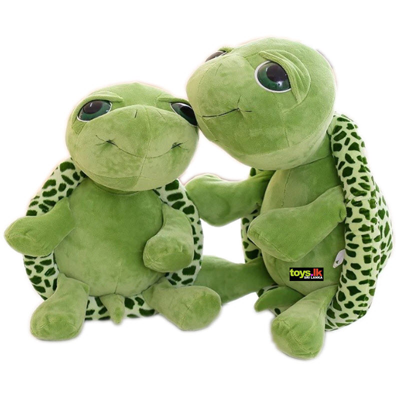 Big Eyes Stuffed Tortoise - Soft Toy