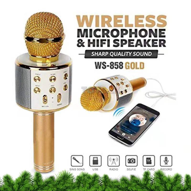 Bluetooth Microphone Kids Portable Karaoke Speaker