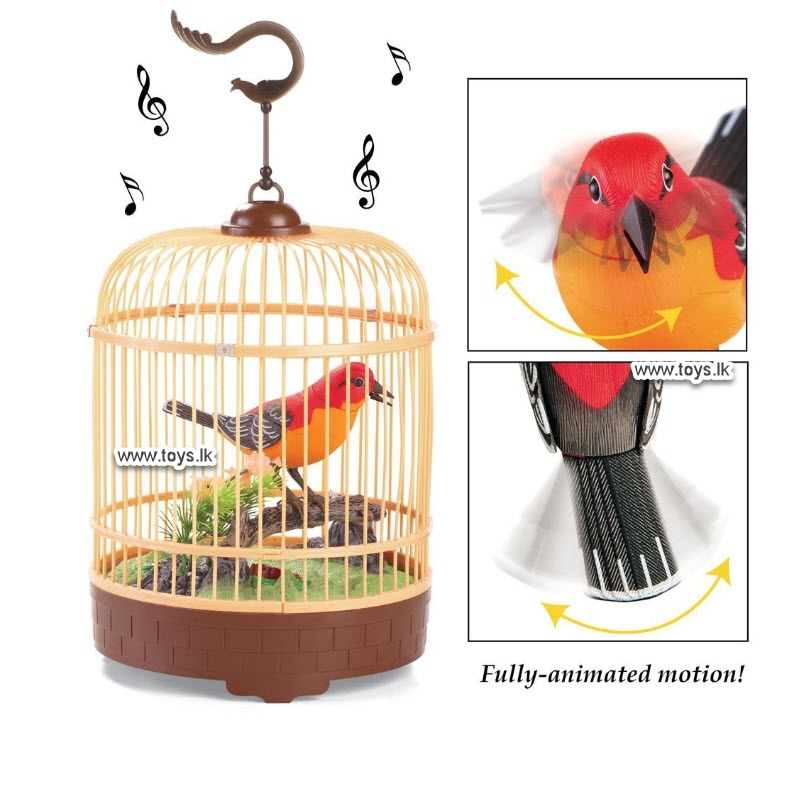 Bird Cage Children Toy